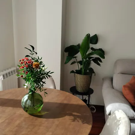 El Ventanal De Pelayo Apartamento Gijón